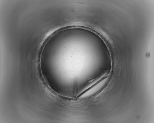 X0000091471264200709061811