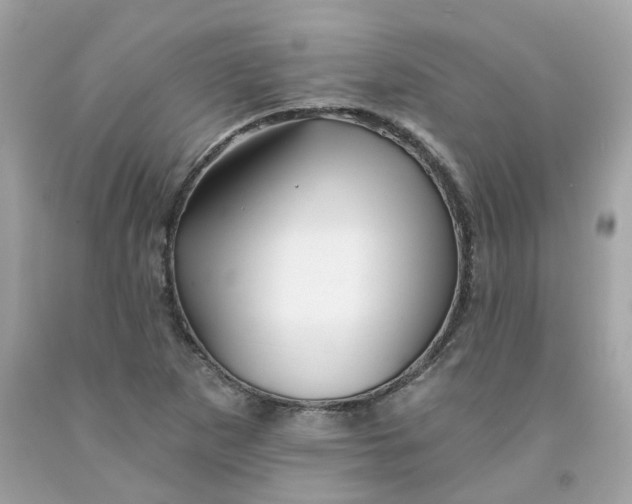 X0000091471265200709061811