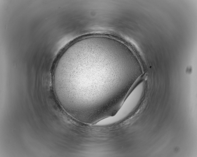 X0000091471267200709061811