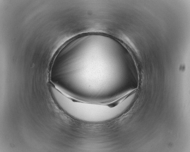 X0000091471268200709061811