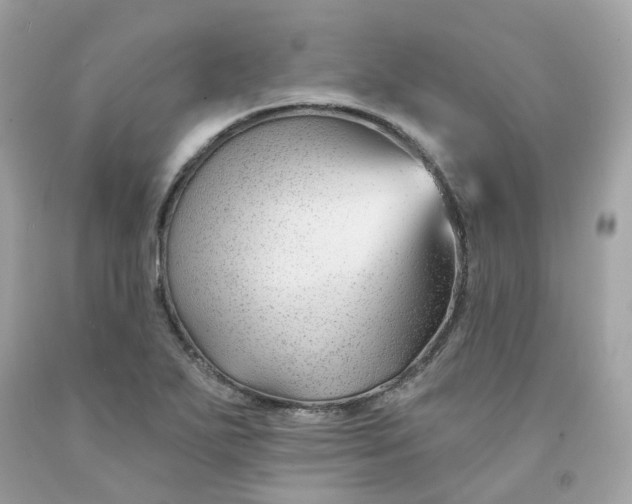 X0000091471271200709061811