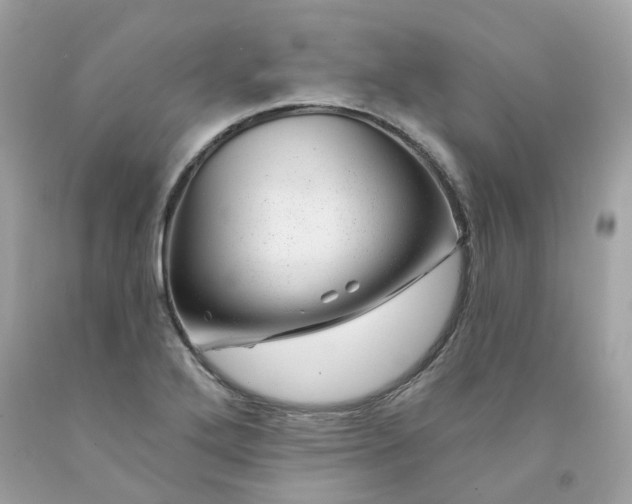 X0000091471272200709061811