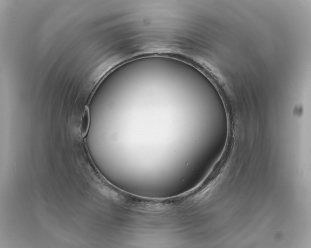 X0000091471273200709061811