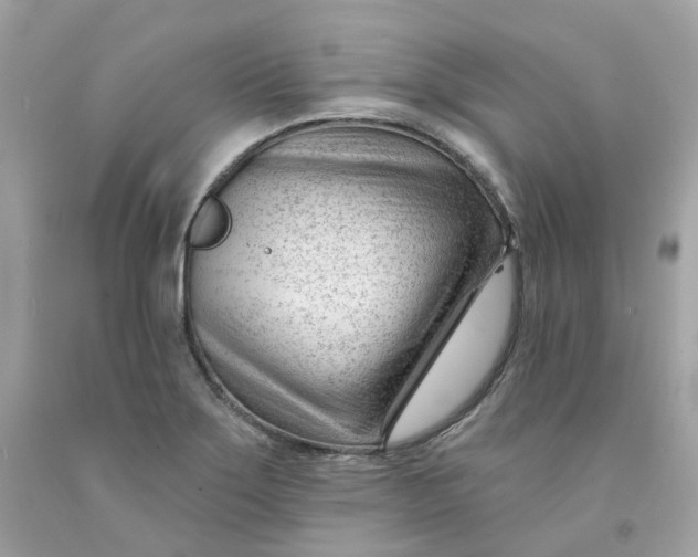 X0000091471275200709061811