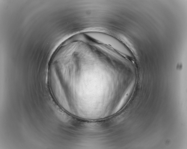 X0000091471276200709061811