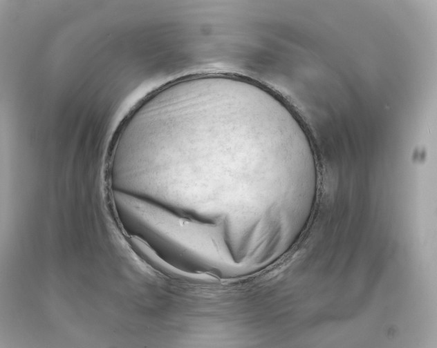 X0000091471278200709061811