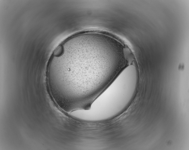 X0000091471279200709061810