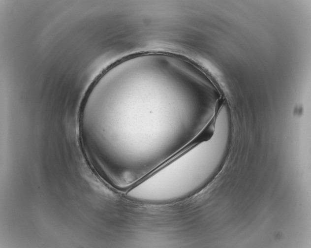 X0000091471280200709061810