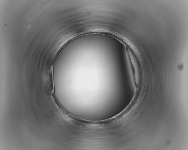 X0000091471281200709061810