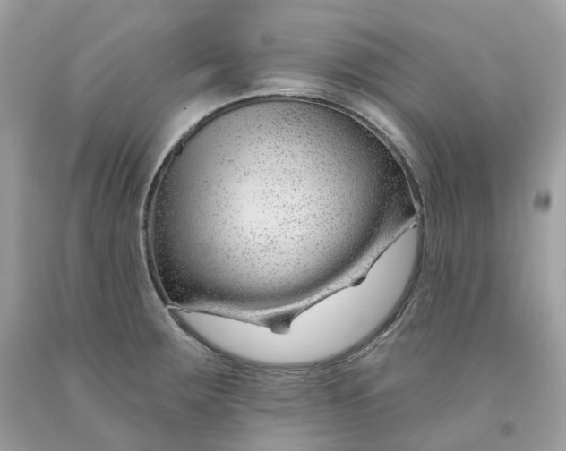 X0000091471283200709061810