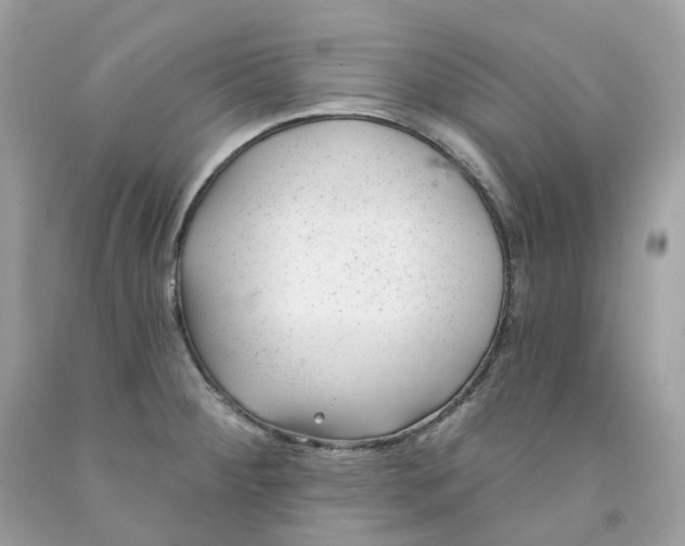 X0000091471284200709061810