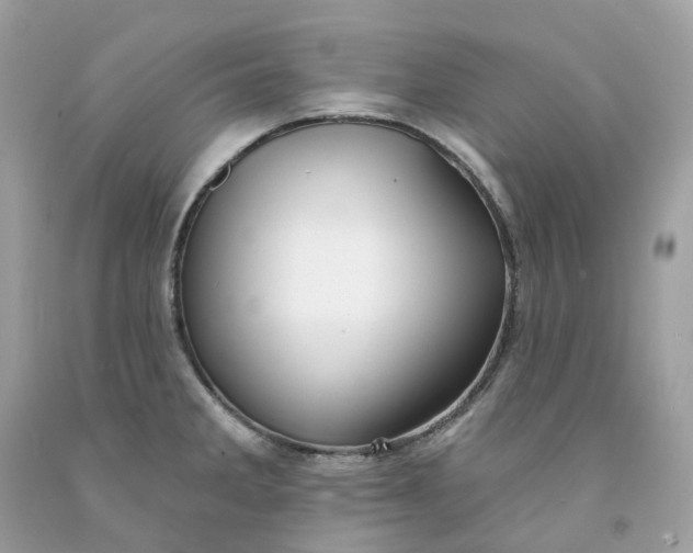 X0000091471285200709061810