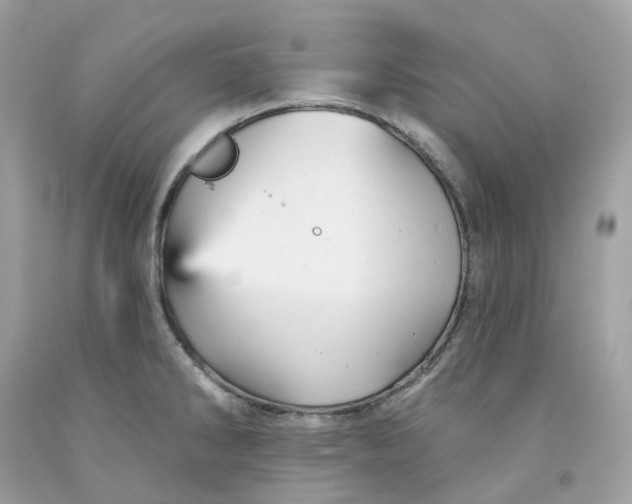 X0000091471286200709061810