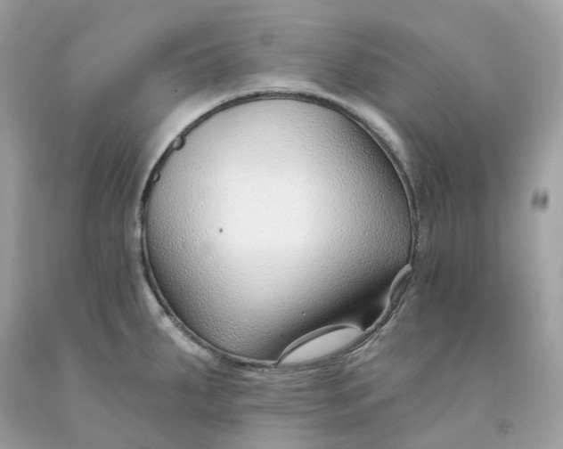 X0000091471287200709061810