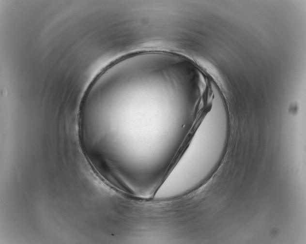 X0000091471288200709061810