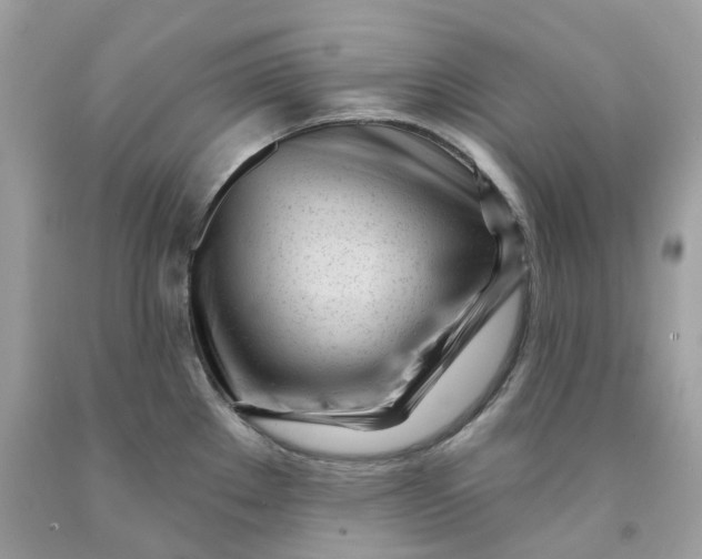 X0000091471289200709061810