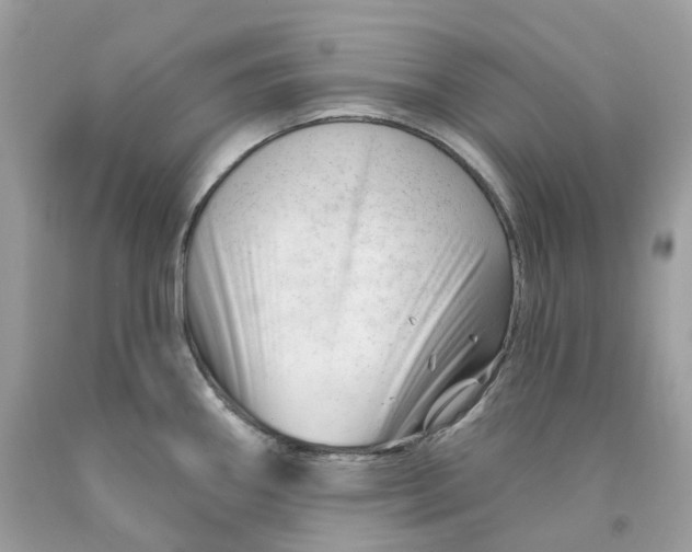 X0000091471290200709061810