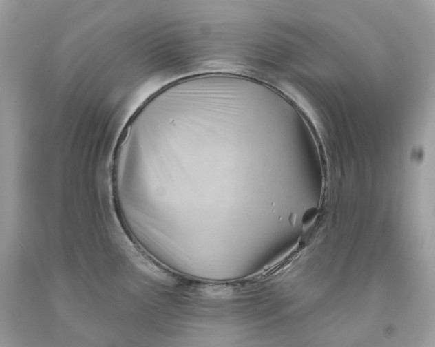 X0000091471291200709061810