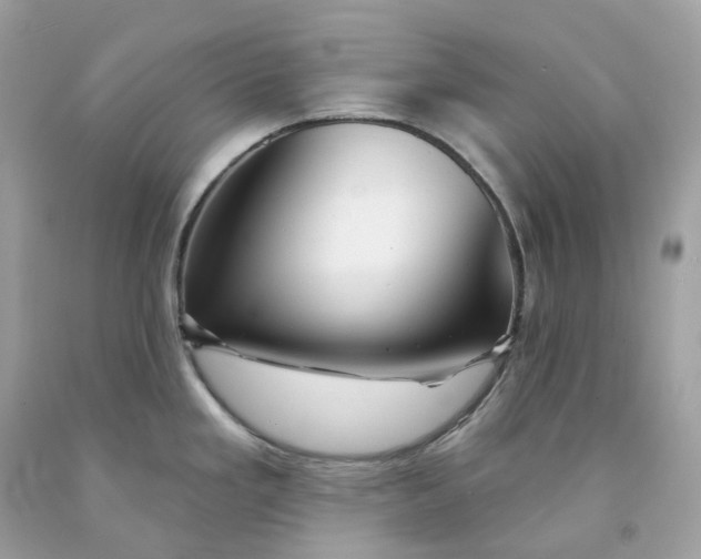 X0000091471293200709061810