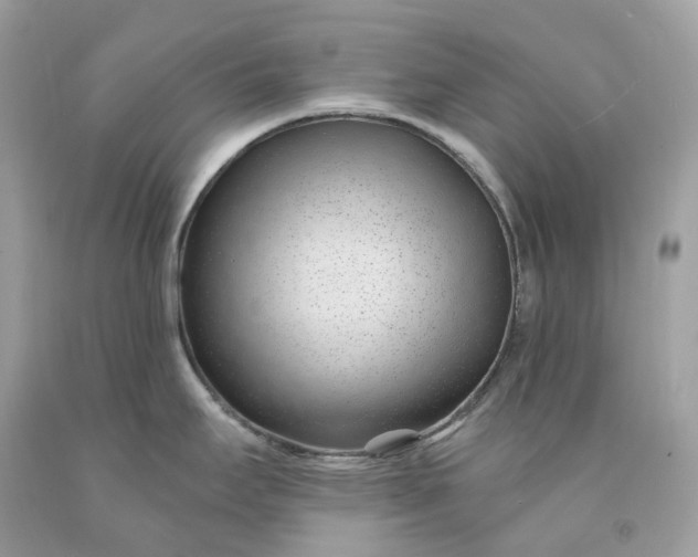 X0000091471295200709061810