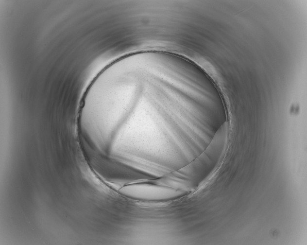 X0000091471296200709061810