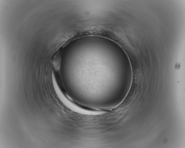 X0000091471298200709061810