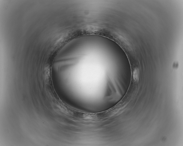 X0000091471299200709061810