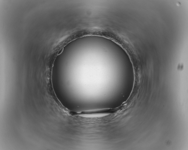 X0000091471301200709061810