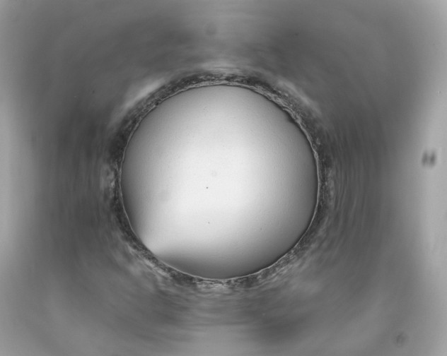 X0000091471302200709061810