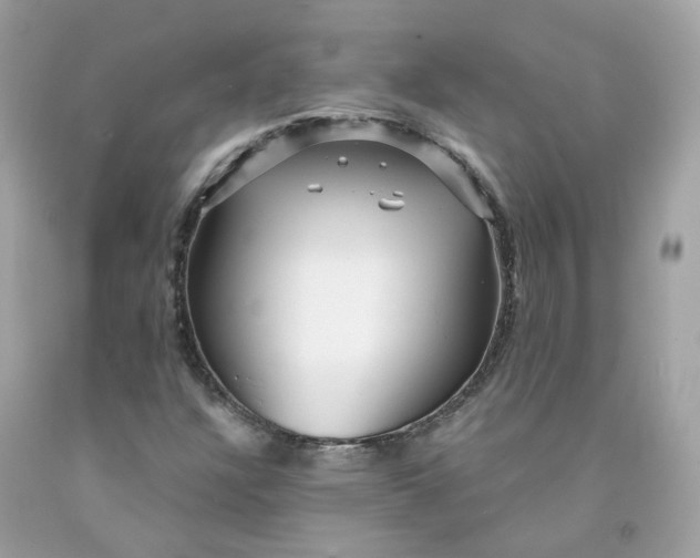 X0000091471304200709061810