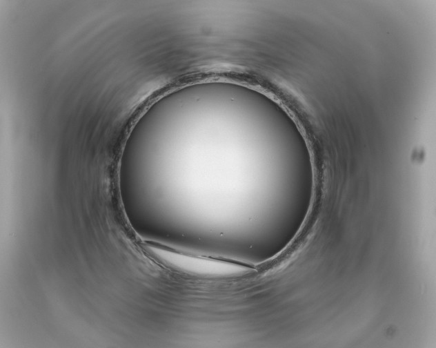 X0000091471305200709061810