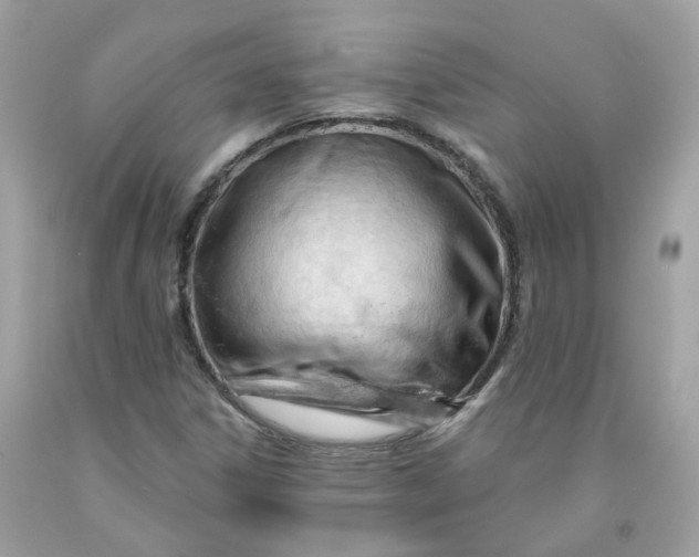 X0000091471306200709061810