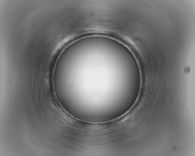 X0000091471307200709061810