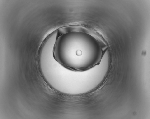 X0000091471308200709061810