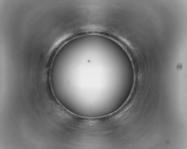 X0000091471309200709061810