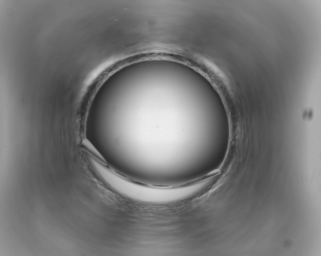 X0000091471310200709061810