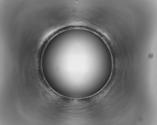 X0000091471311200709061810