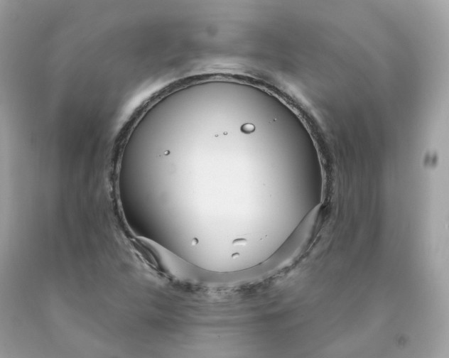 X0000091471312200709061810