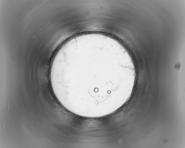 X0000091471314200709061810