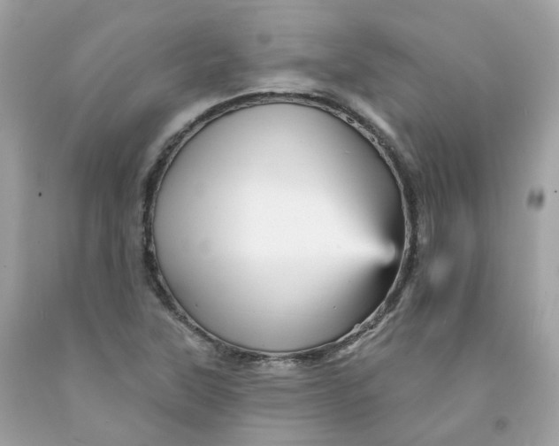 X0000091471315200709061810