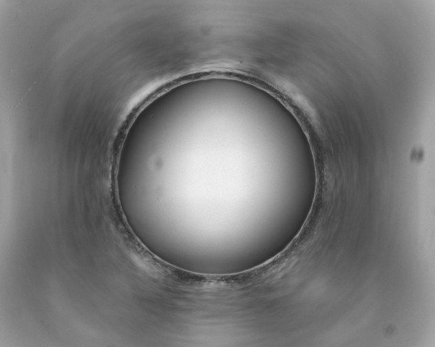 X0000091471316200709061810