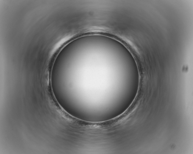 X0000091471317200709061810