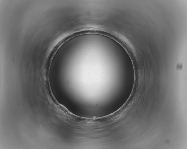 X0000091471318200709061810