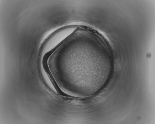 X0000091471319200709061810