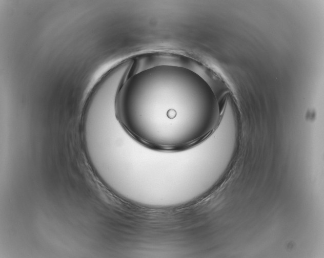 X0000091471320200709061810