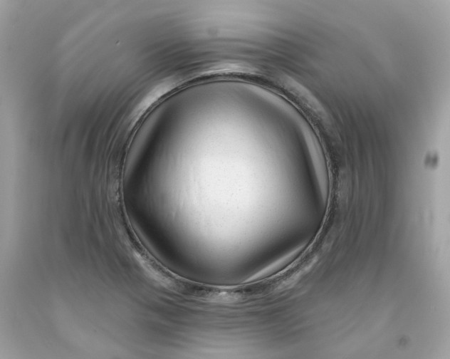 X0000091471321200709061810