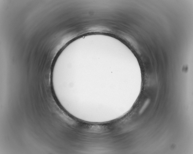 X0000091471322200709061810