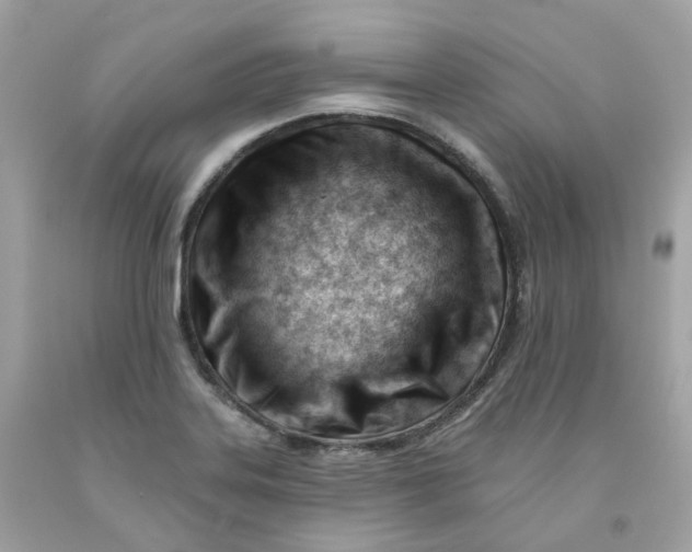 X0000091471323200709061810