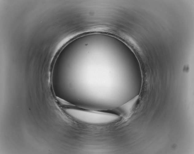 X0000091471324200709061810