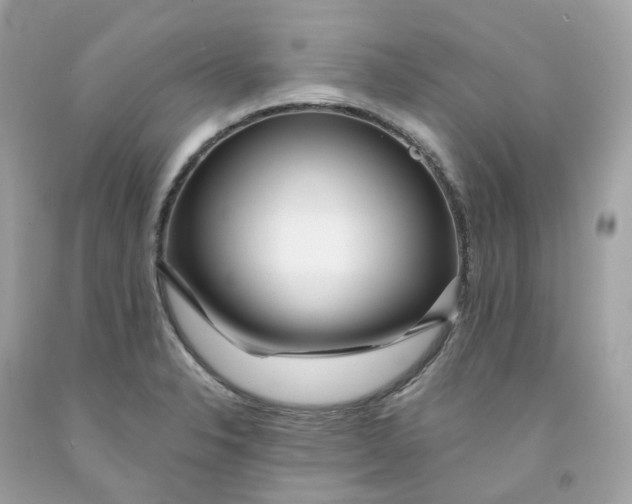 X0000091471326200709061810